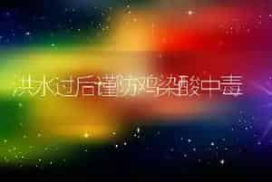 洪水过后谨防鸡染酸中毒