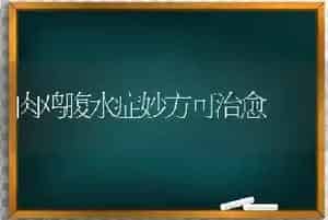肉鸡腹水症妙方可治愈