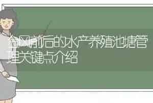 台风前后的水产养殖池塘管理关键点介绍