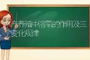 水产养殖中溶氧的作用及三个变化规律