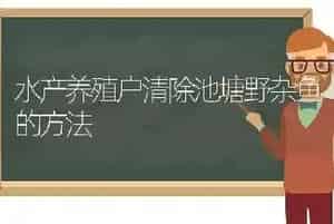 水产养殖户清除池塘野杂鱼的方法