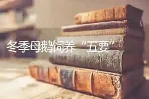 冬季母鹅饲养“五要”