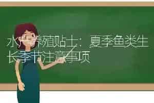 水产养殖贴士：夏季鱼类生长季节注意事项