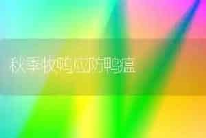 秋季牧鸭应防鸭瘟