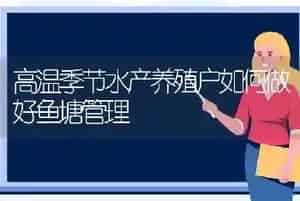 高温季节水产养殖户如何做好鱼塘管理