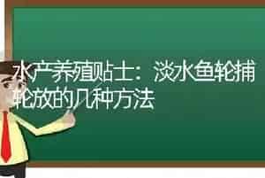 水产养殖贴士：淡水鱼轮捕轮放的几种方法