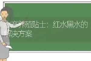 水产养殖贴士：红水黑水的解决方案