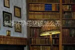 冬鹅快长速肥技术