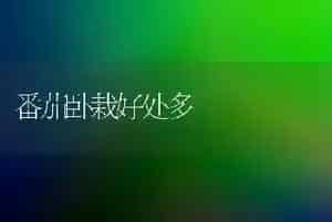 如何延长七彩山鸡产蛋高峰期