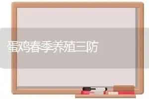 蛋鸡春季养殖三防