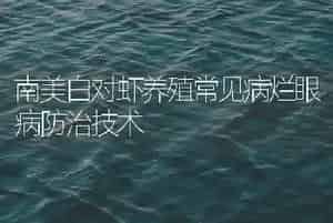 南美白对虾养殖常见病烂眼病防治技术