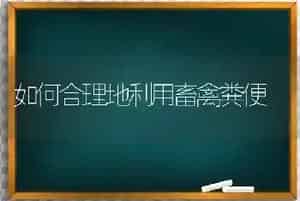 如何合理地利用畜禽粪便