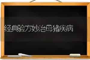经典验方妙治母猪疾病