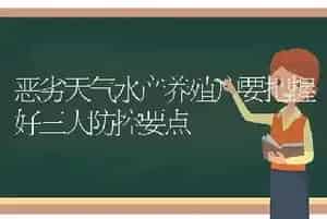 恶劣天气水产养殖户要把握好三大防控要点