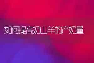 如何提高奶山羊的产奶量