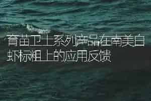 育苗卫士系列产品在南美白虾标粗上的应用反馈