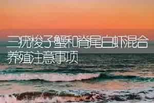 三疣梭子蟹和脊尾白虾混合养殖注意事项
