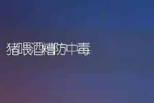 猪喂酒糟防中毒