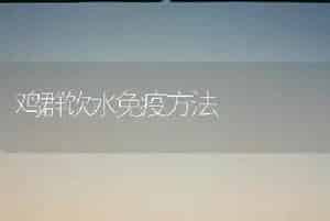 鸡群饮水免疫方法