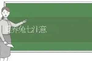 夏养兔七注意