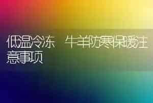 低温冷冻 牛羊防寒保暖注意事项