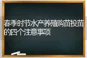 春季时节水产养殖购苗投苗的四个注意事项