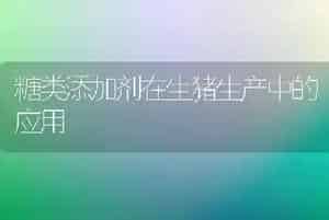 糖类添加剂在生猪生产中的应用