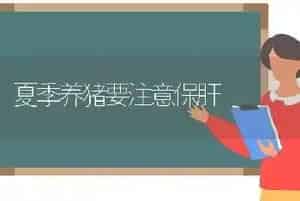 夏季养猪要注意保肝