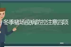 冬季猪场疫病防控注意四项