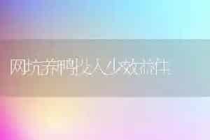 网坑养鸭投入少效益佳