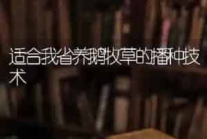 适合我省养鹅牧草的播种技术
