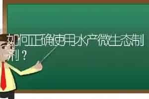 如何正确使用水产微生态制剂?