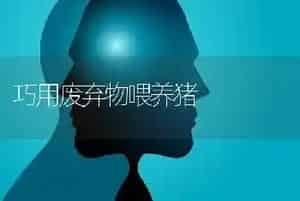 巧用废弃物喂养猪