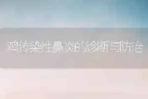 鸡传染性鼻炎的诊断与防治