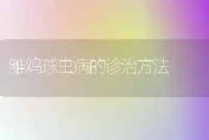 雏鸡球虫病的诊治方法