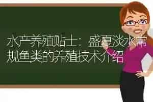 水产养殖贴士：盛夏淡水常规鱼类的养殖技术介绍