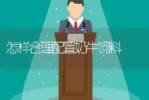 怎样合理配置奶牛饲料