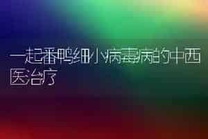 一起番鸭细小病毒病的中西医治疗