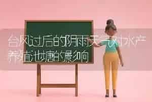 台风过后的阴雨天气对水产养殖池塘的影响