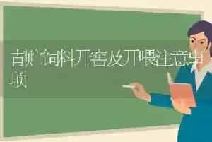 青贮饲料开窖及开喂注意事项