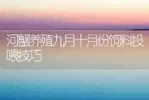 河蟹养殖九月十月份饲料投喂技巧