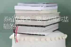 养殖乌骨鸡 要考虑哪些基础条件