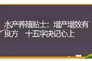 水产养殖贴士：增产增效有良方 十五字决记心上