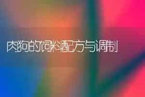 肉狗的饲料配方与调制
