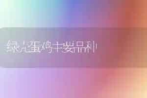 绿壳蛋鸡主要品种