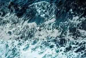 育苗卫士系列在南美白虾标粗上的应用反馈