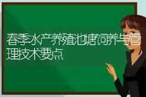 春季水产养殖池塘饲养与管理技术要点