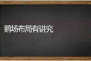 鹅场布局有讲究