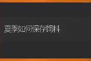 夏季如何保存饲料