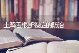 土鸡舌根断裂症的防治